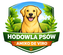 cropped-AMIKO_DE_VIRO_LOGO_FB.png